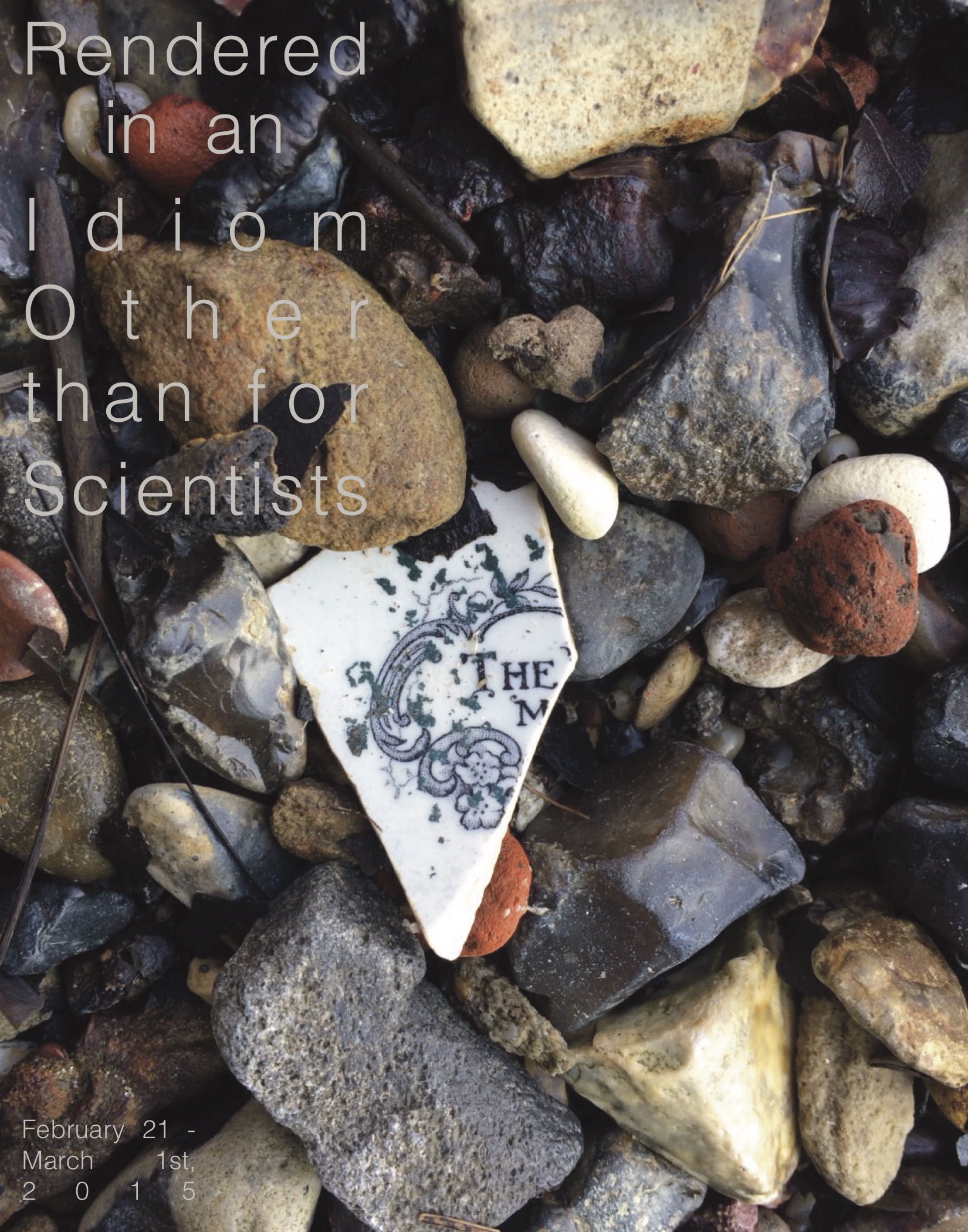 Rendered In An Idiom Other Than For Scientists: Opening February 19th